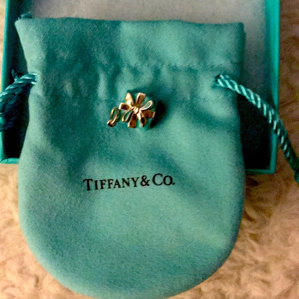 Tiffany and Co.  Blue box present charm🌸